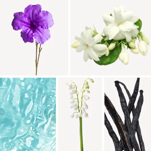 Duftnoten: Veilchen, Jasmin, Maiglöckchen, Aldehyde, Vanille